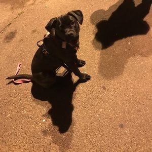 Meet your Posher, Sandra